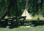 australia - life at the black cockatoo.jpg